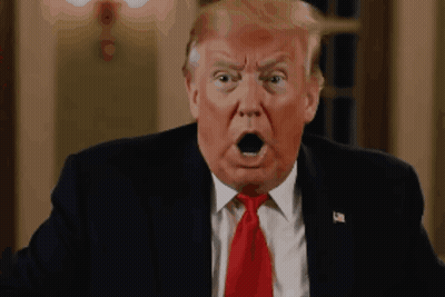 Donald Trump In Suit And Tie With Mouth Open GIF