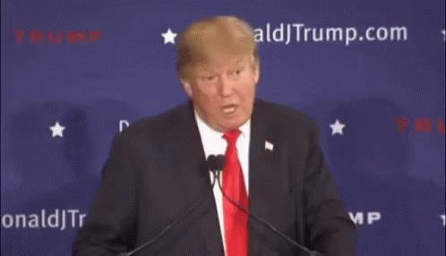 Donald Trump Is Giving A Speech And Says " I Know Words " GIF
