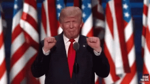 Donald Trump Is Giving A Speech In Front Of A Microphone In Front Of American Flags . GIF