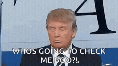 Donald Trump Is Making A Funny Face While Sitting In Front Of A Plane . GIF
