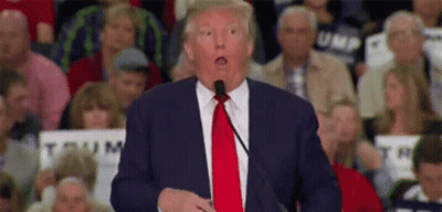 Donald Trump Is Making A Funny Face While Speaking Into A Microphone In Front Of A Crowd Of People . GIF