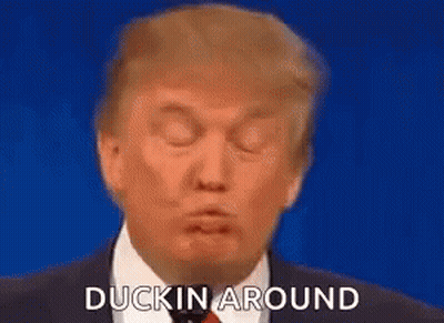Donald Trump Is Making A Funny Face With His Eyes Closed And The Words Ducking Around Above Him . GIF