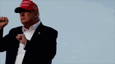 Donald Trump Is Wearing A Red Hat That Says America Great Again GIF