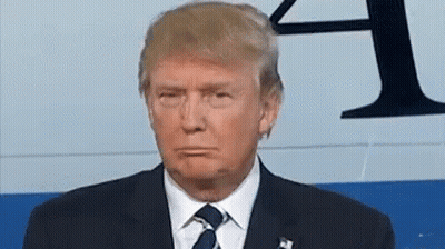 Donald Trump Is Wearing A Suit And Tie And Looking At The Camera GIF