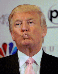 Donald Trump Kiss Face Meme GIF