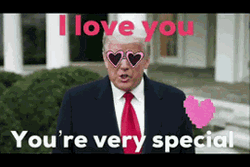 Donald Trump Love Taliban  GIF