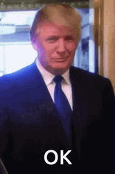 Donald Trump Ok Thumb Light GIF