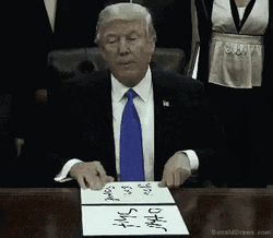 Donald Trump Other Shit GIF