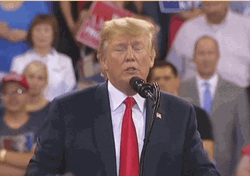 Donald Trump Pointing GIF