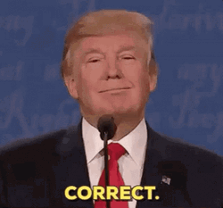 Donald Trump Proud Correct  GIF