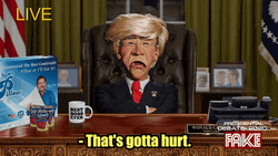 Donald Trump Puppet Thats Cold That's Gotta Hurt GIF