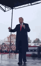 Donald Trump Random Dance GIF