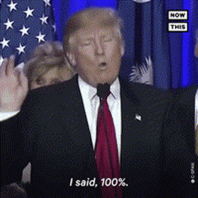 Donald Trump Saying I Said 100% GIF