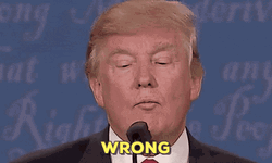 Donald Trump Saying Wrong Meme GIF