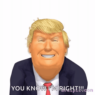 Donald Trump Saying You Know I'm Right GIF