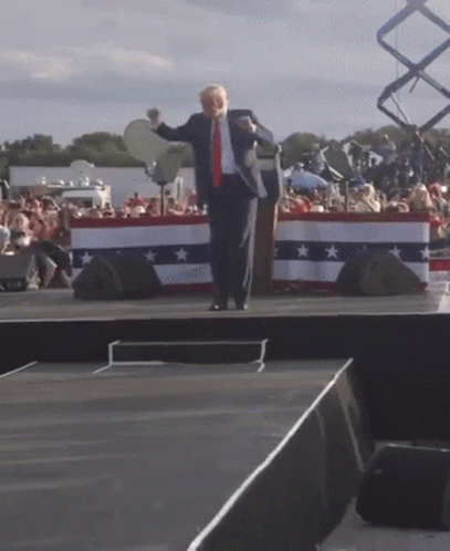 Donald Trump Saying You're Fired GIF