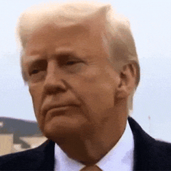 Donald Trump Sidelong Glance GIF