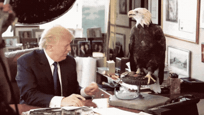 Donald Trump Sitting At Desk With Bald Eagle GIF