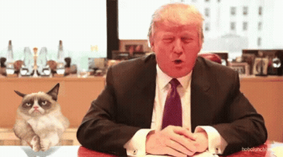 Donald Trump Sitting With Grumpy Cat On Lap GIF