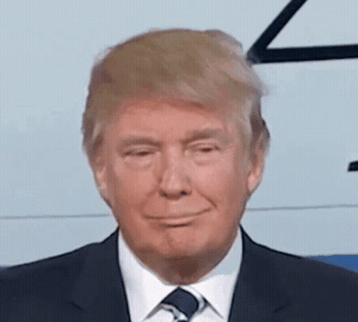 Donald Trump Smiling In Suit GIF