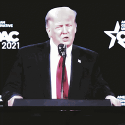 Donald Trump Sorry Not Sorry GIF