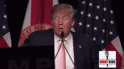 Donald Trump Speaking Into A Microphone In Front Of A Flag That Says Great Seal Of The United States GIF