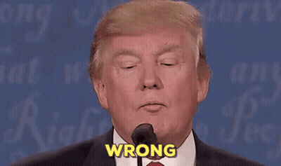 Donald Trump Speaking Into Mic With Wrong On Face GIF