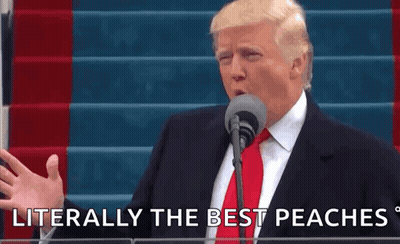 Donald Trump Speaking Into Microphone Saying Best Peaches GIF