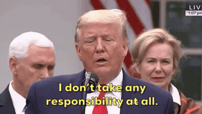 Donald Trump Speaking Into Microphone Saying I Don't Take Any Responsibility At All GIF