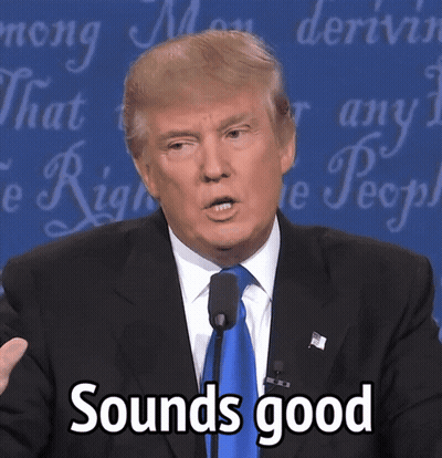 Donald Trump Speaking Into Microphone Says Sounds Good GIF