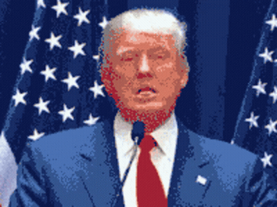 Donald Trump Speaking Into Microphone With American Flag GIF
