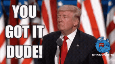 Donald Trump Speaking With You Got It Dude GIF