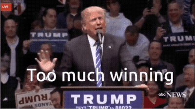 Donald Trump Speech At Podium Saying Trump Too Much Winning GIF
