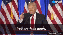 Donald Trump Speech Fake News GIF