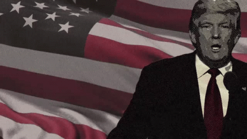 Donald Trump Stands In Front Of An American Flag GIF