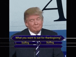 Donald Trump Thanksgiving Meme GIF