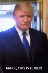 Donald Trump This Is Huge GIF