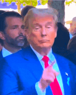 Donald Trump Thumbs Up GIF