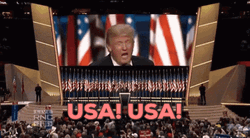 Donald Trump Usa Political Event GIF