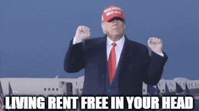 Donald Trump Wearing Make America Great Again Hat GIF