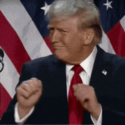 Donald Trump Win GIF