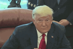 Donald Trump Wink Eye GIF