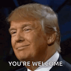 Donald Trump Wink Meme GIF