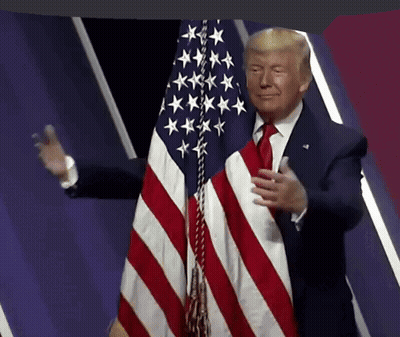 Donald Trump With American Flag GIF
