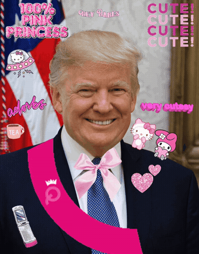 Donald Trump With Pink Sash GIF