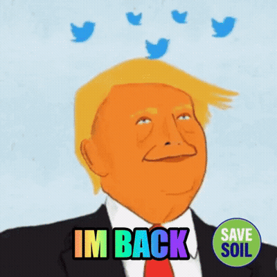 Donald Trump With Twitter Birds Saying Im Back GIF