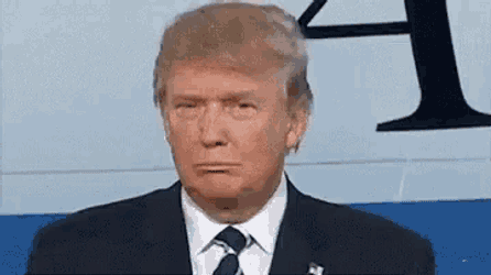 Donald Trump Wrong GIF
