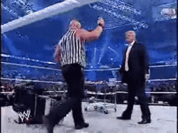 Donald Trump Wwe And Stone Cold GIF