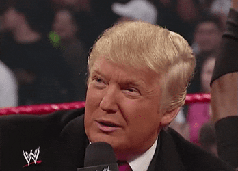 Donald Trump Wwe Chuckles GIF