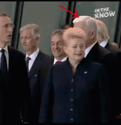 Donald Trump Wwe Excuse Me GIF